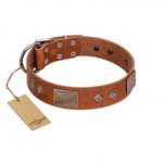 "Great Obelisk" Handcrafted FDT Artisan Tan Leather English Bulldog Collar with Large Plates and Pyramids