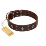 "Stars in Sands" Modern FDT Artisan Brown Leather English Bulldog Collar with Studs and Stars