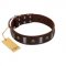 "War Chief" FDT Artisan Genuine Brown Leather English Bulldog Collar with Skulls and Plates