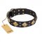 "Fancy-Schmancy" FDT Artisan Studded Leather English Bulldog Collar