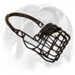 Fancy Wire Cage Muzzle with Rubber Cover for Winter