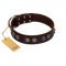 "King Arthur" FDT Artisan Brown Leather English Bulldog Collar with Spiky Plates
