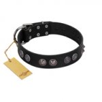 "Silver Medallions" Mod FDT Artisan Black Leather English Bulldog Collar with Round Plates