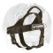 Nylon Harness for English Bulldog With Id Patches