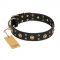 "Cosmic Glow" FDT Artisan Black Leather English Bulldog Collar with Brass-Plated Studs