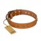 "Autumn Story" FDT Artisan Leather English Bulldog Collar with Old Bronze Look Studs