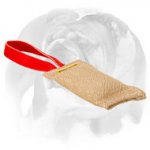 English Bulldog Puppy Bite Tug Made of Jute