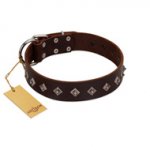 "Boundless Energy" Premium Quality FDT Artisan Brown Designer Leather English Bulldog Collar with Small Pyramids