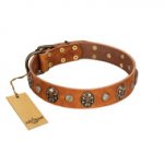 "Call of Feat" FDT Artisan Tan Leather English Bulldog Collar with Old Bronze-like Studs and Oval Brooches