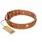 "Visual Magic" FDT Artisan Tan Leather English Bulldog Collar for Daily Activities