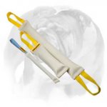 Fire Hose Training Set of Bite Tugs for English Bulldog
