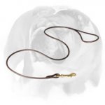 English Bulldog Round Pure Leather Show Dog Leash