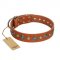 "Natural Beauty" FDT Artisan Tan Leather English Bulldog Collar with Shining Silver-like Studs