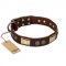 "Golden Stones" FDT Artisan Brown Leather English Bulldog Collar with Old Bronze Look Plates and Circles