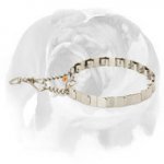 English Bulldog Dog Pinch Prong Collar Made of High-Quality Stainless Steel