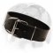 Smart design of leather dog collar for English Bulldog breed