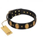 "Doggie Woggie" Designer Handmade FDT Artisan Black Leather English Bulldog Collar with Ovals and Studs