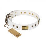 "Precious Necklace" FDT Artisan White Leather English Bulldog Collar with Old Bronze Look Plates and Studs