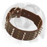 Top popular super wide leather dog collar adorned with spikes and studs for English Bulldog breed