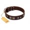 "Object of Virtu" FDT Artisan Brown Leather English Bulldog Collar with Old Silver-like Square Studs and Pyramids