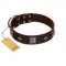 "Cold Star" Designer FDT Artisan Brown Leather English Bulldog Collar with Silver-Like Adornments