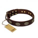 "Chocolate kiss" FDT Artisan Leather English Bulldog Collar with Old Bronze Look Oval Plates