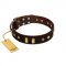 "Blinking Illusion" FDT Artisan Brown Leather English Bulldog Collar with Old Bronze-like Studs and Plates