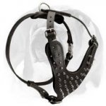 English Bulldog Spiked Dog Harness for Fancy Look of Your Pet