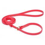 Durable Red Biothane English Bulldog Leash and Collar Combo