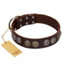 "Treasure Hunter" FDT Artisan Brown Leather English Bulldog Collar with Old-Bronze-like and Silvery Medallions