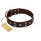 "Skull Valley" Handcrafted FDT Artisan Brown Leather English Bulldog Collar with Skulls