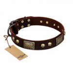 "Magic Amulet" Brown Leather English Bulldog Collar with Skulls and Plates