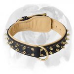 Remarkable Leather Dog Collar for your English Bulldog