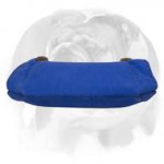 English Bulldog French Linen Bite Builder for Puppies