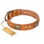 "Saucy Nature" FDT Artisan Tan Leather English Bulldog Collar with Old Bronze Look Plates and Skulls