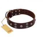 "Skull Valley" Handcrafted FDT Artisan Brown Leather English Bulldog Collar with Skulls