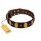 "Crystal Mirror" FDT Artisan Handmade Brown Leather English Bulldog Collar - 1 1/2 inch (40 mm) Wide