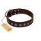 "Starry-Eyed" Best Quality FDT Artisan Brown Designer Leather English Bulldog Collar with Small Plates