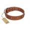 "Silver Age" Fashionable FDT Artisan Tan Leather English Bulldog Collar with Silver-Like Studs