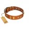 "Egyptian Script" FDT Artisan Tan Leather English Bulldog Collar with Plates and Small Studs