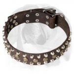 English Bulldog Riveted Full Grain Leather Dog Collar with Decorations