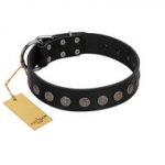 "Silent Star" Handmade FDT Artisan Designer Black Leather English Bulldog Collar with Engraved Plates