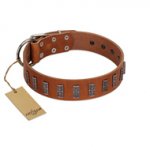 "Silver Century" Fashionable FDT Artisan Tan Leather English Bulldog Collar with Silver-Like Plates