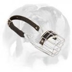 'The Silencer' High Quality Wire Cage Muzzle Padded for English Bulldog