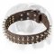English Bulldog Leather Dog Collar With Spikes and Studs