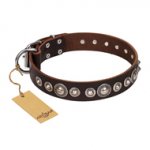 "Step and Sparkle" FDT Artisan Glamorous Studded Brown Leather English Bulldog Collar