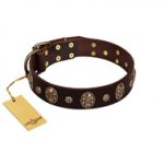 "Breaking the Horizon" FDT Artisan Brown Leather English Bulldog Collar with Engraved Studs and Medallions