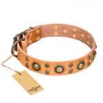 'Sophisticated Glamor' FDT Artisan Tan Leather English Bulldog Collar with Fancy Old-Bronze Plated Decorations