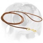 Dog Show Leather Round Leash for English Bulldog Breed