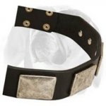 Swell Leather Dog Collar for English Bulldog With Vintage Massive Plates